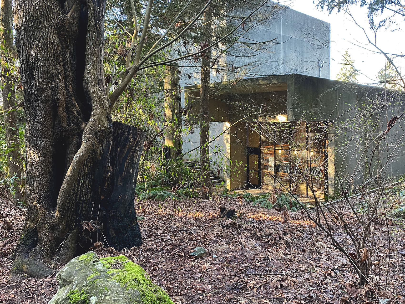 UBC Museum of Anthropology, 1976/2010/2021