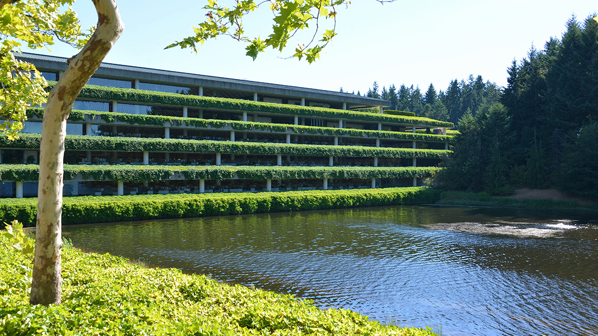 Weyerhaeuser International Headquarters, Federal Way, WA - Photo by Chris Diamond and PWP, 2015. Courtesy of The Cultural Landscape Foundation.