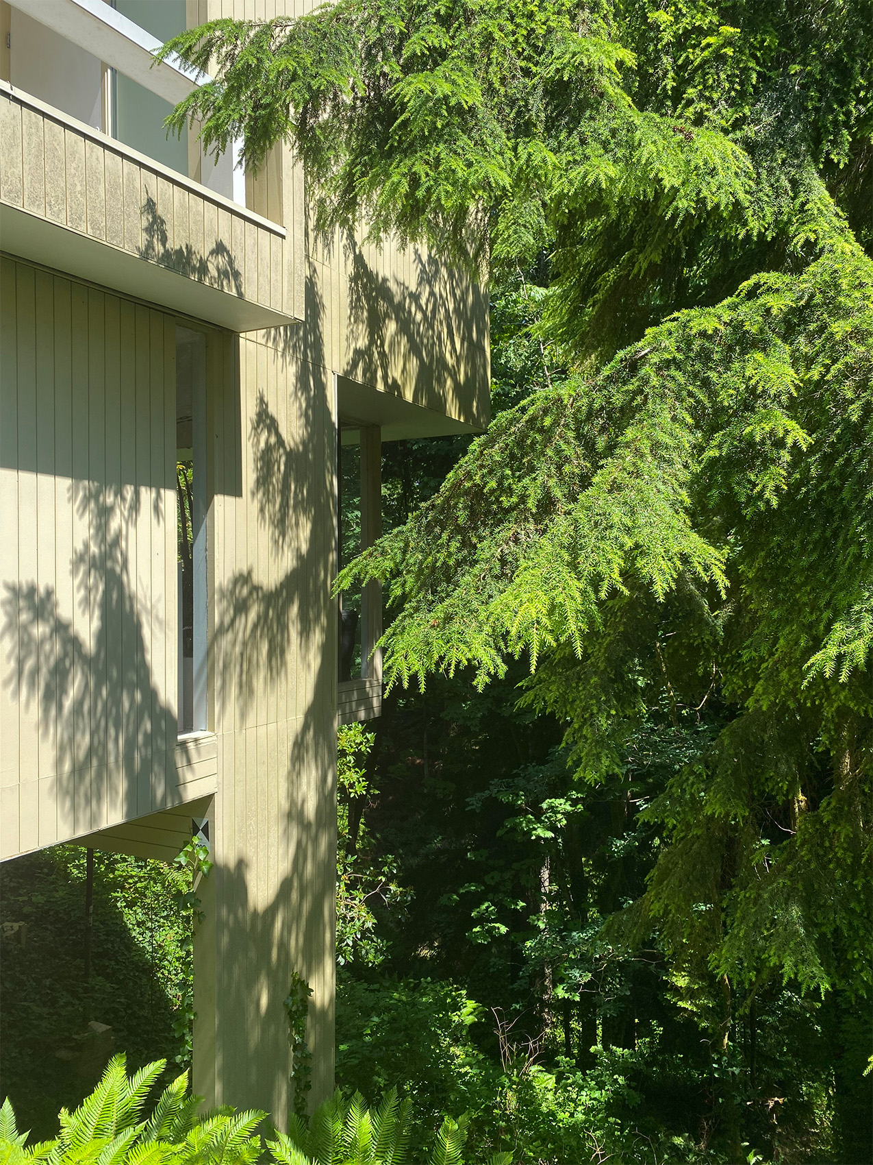 Steve Gairns (2023).