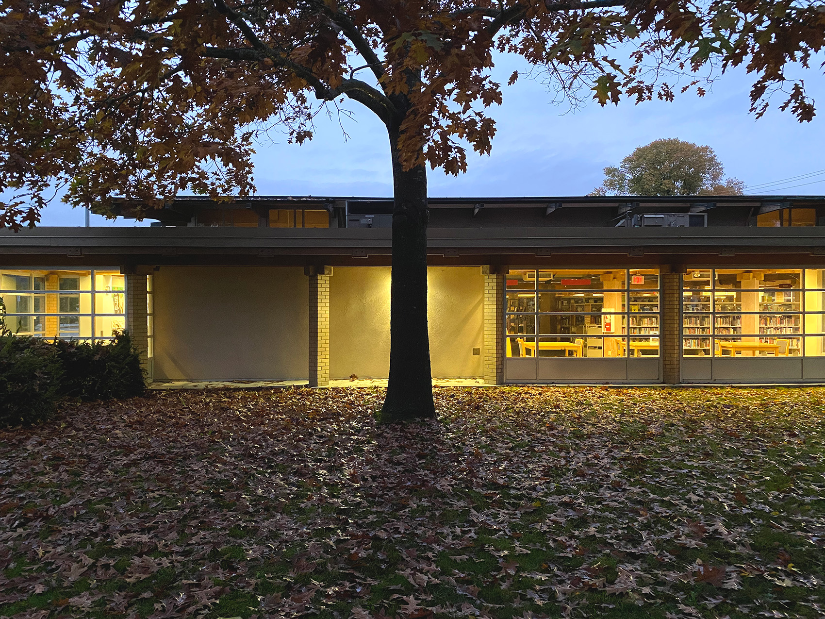 Ladner Pioneer Library, 1958