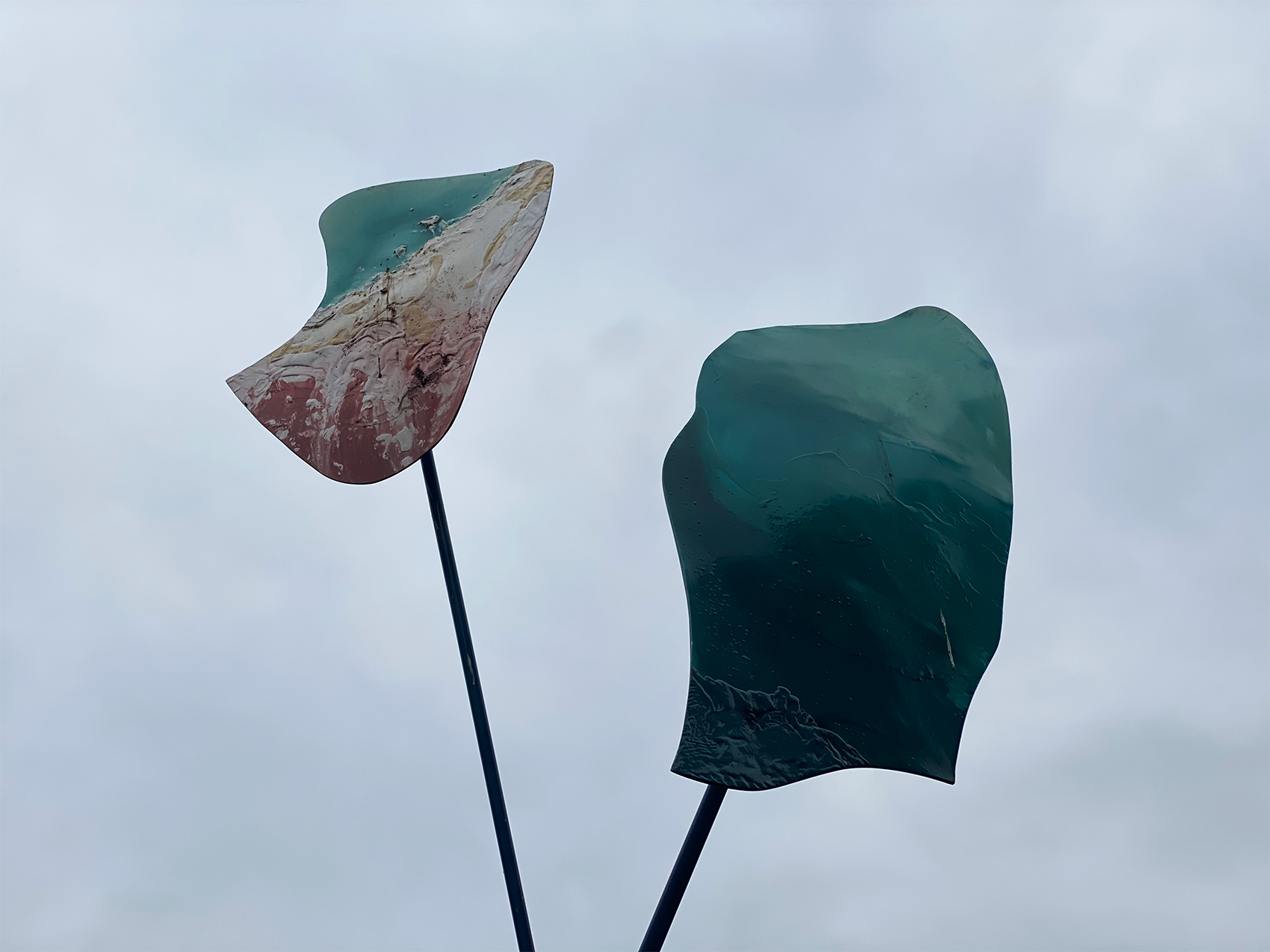 Wind Flowers, 2020