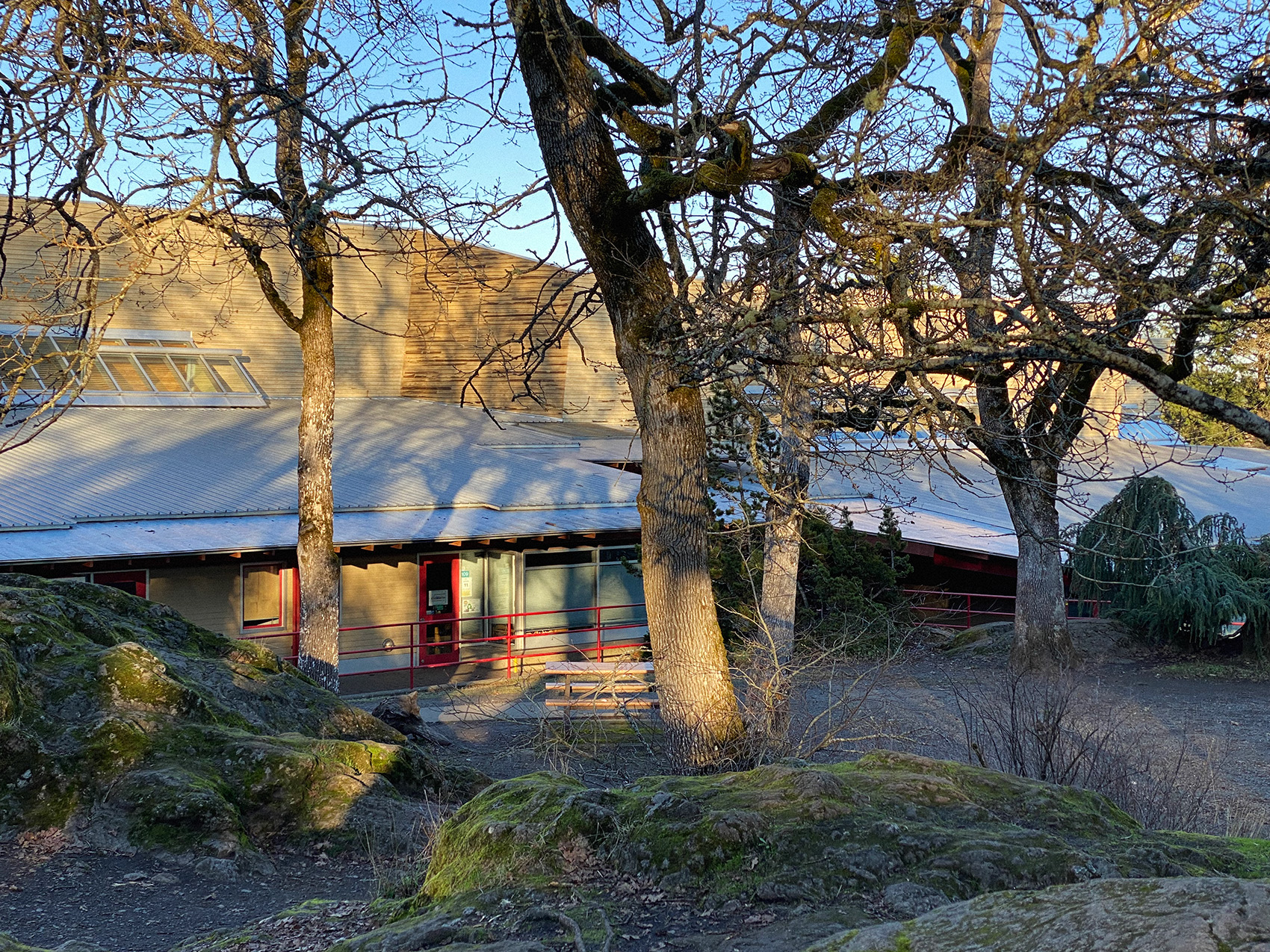 Strawberry Vale Elementary School, 1995
