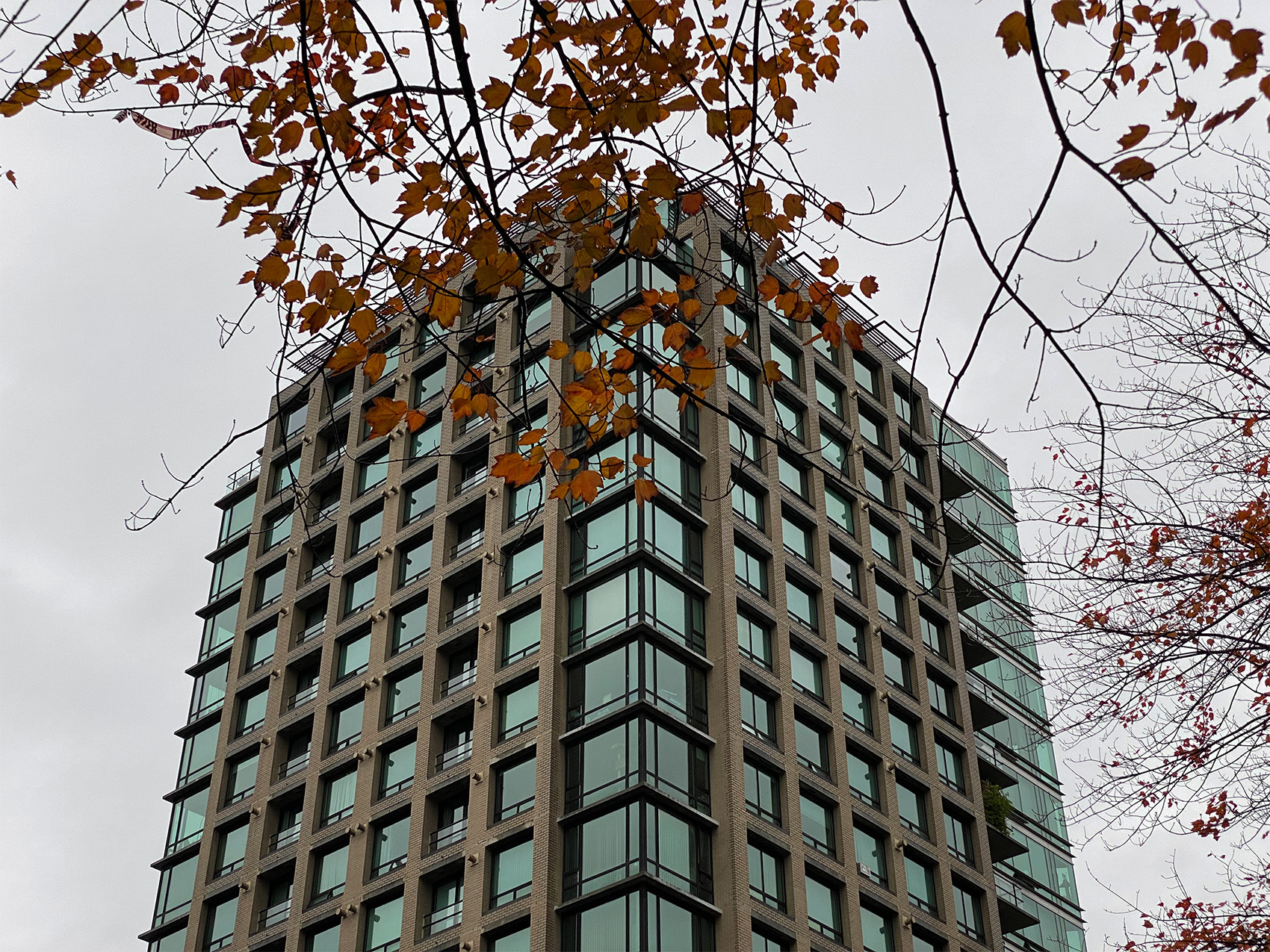 Steve Gairns (2021).