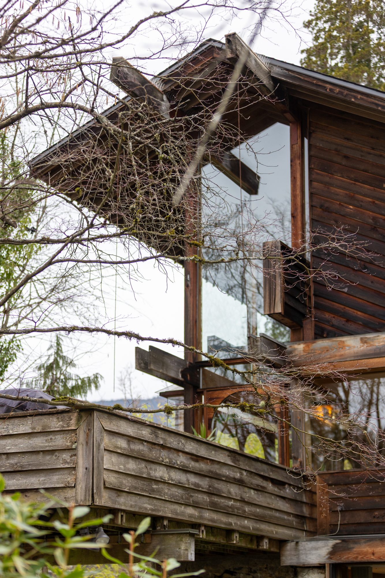 Oleg Solodchenko (2026). Courtesy of Penny Mitchell.