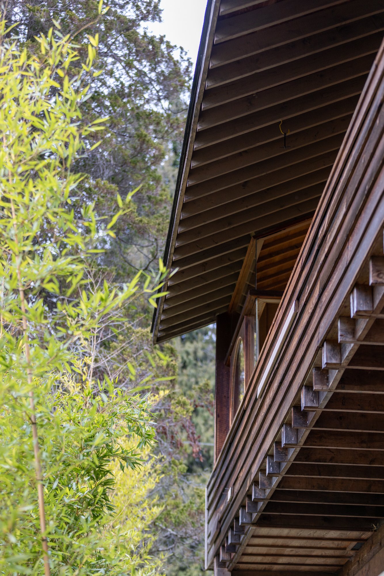 Oleg Solodchenko (2026). Courtesy of Penny Mitchell.