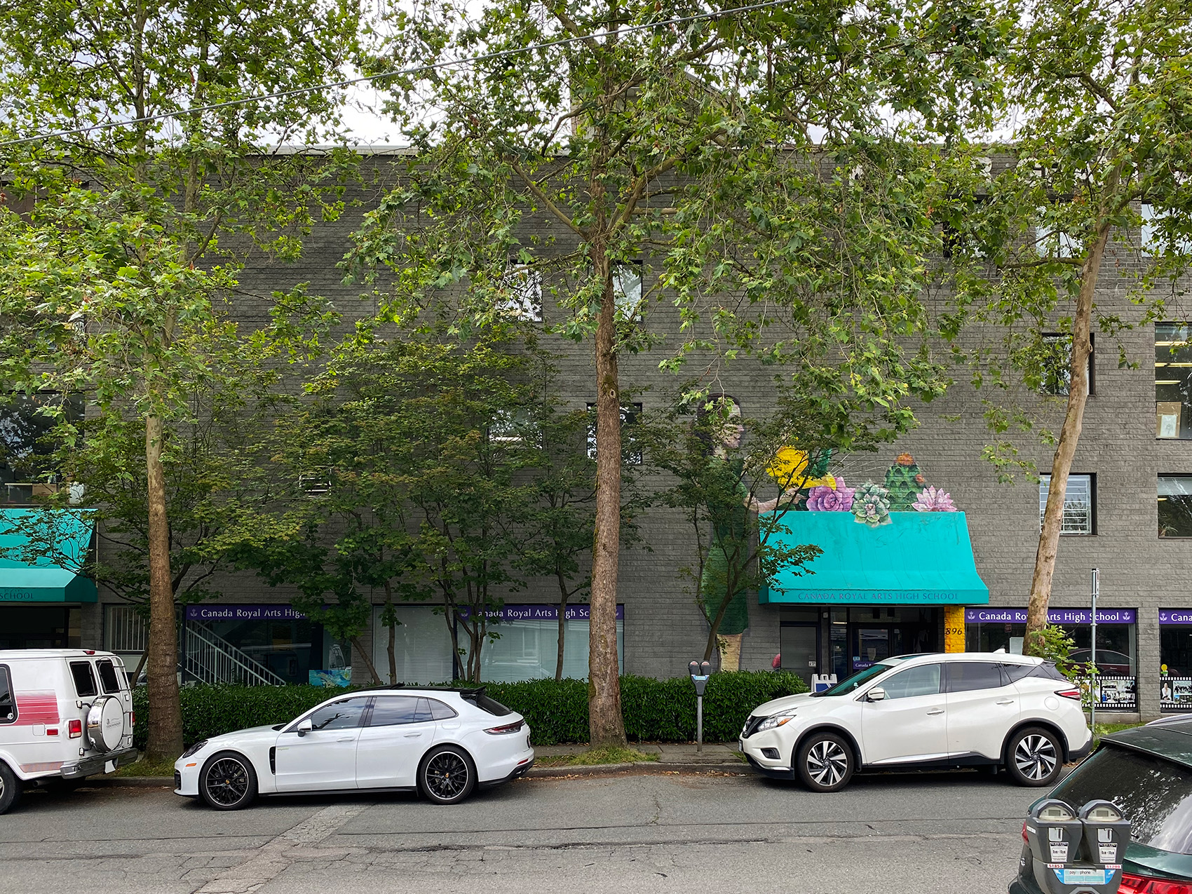 Steve Gairns (2024).