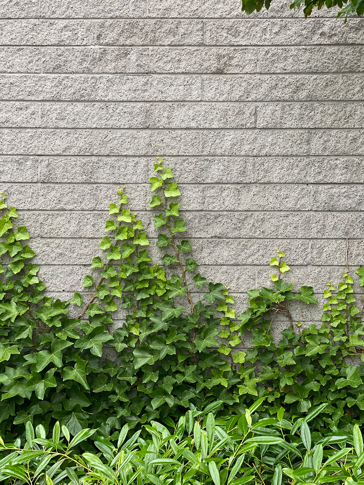 Steve Gairns (2024).