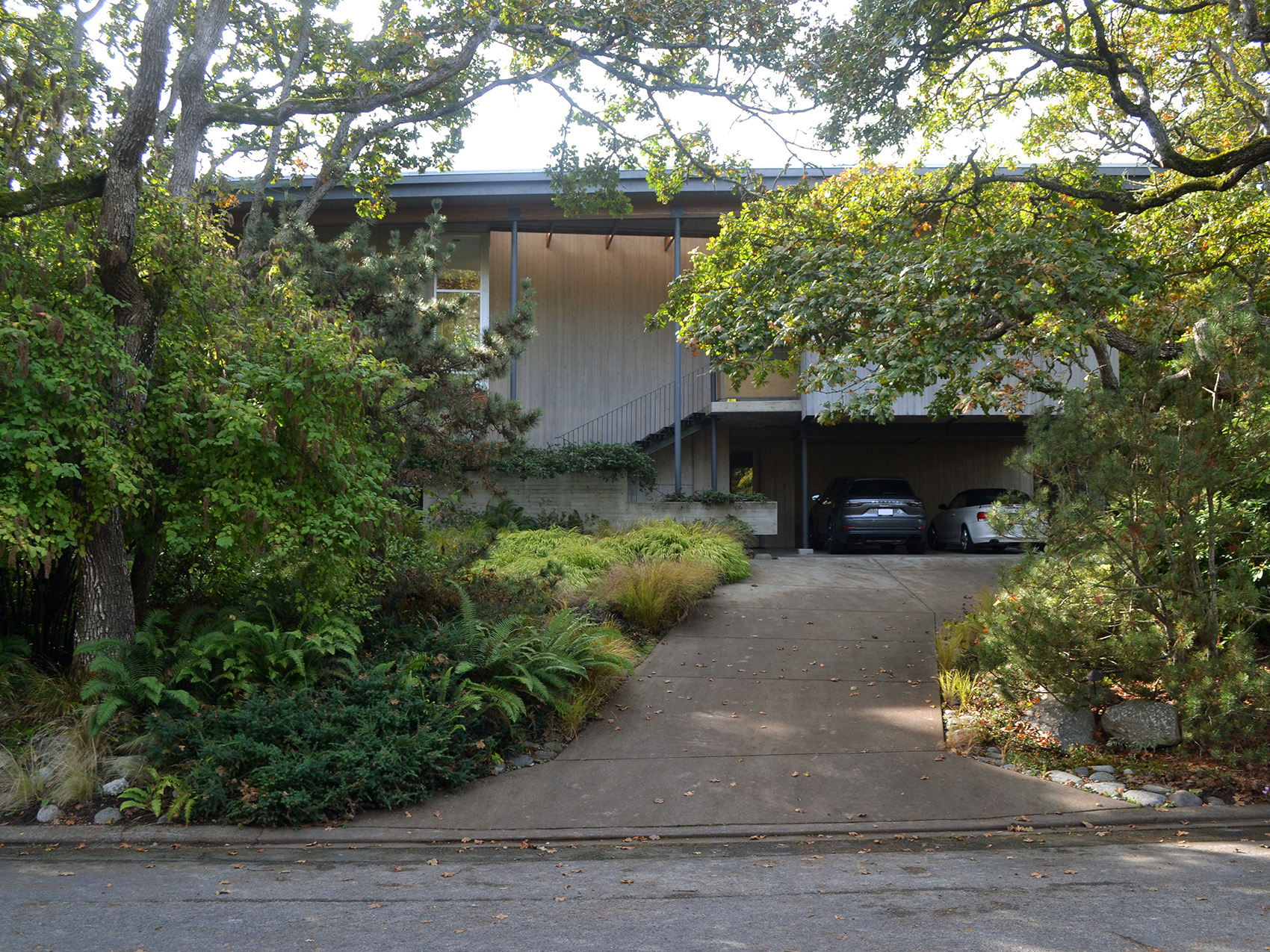 Steve Gairns (2021).