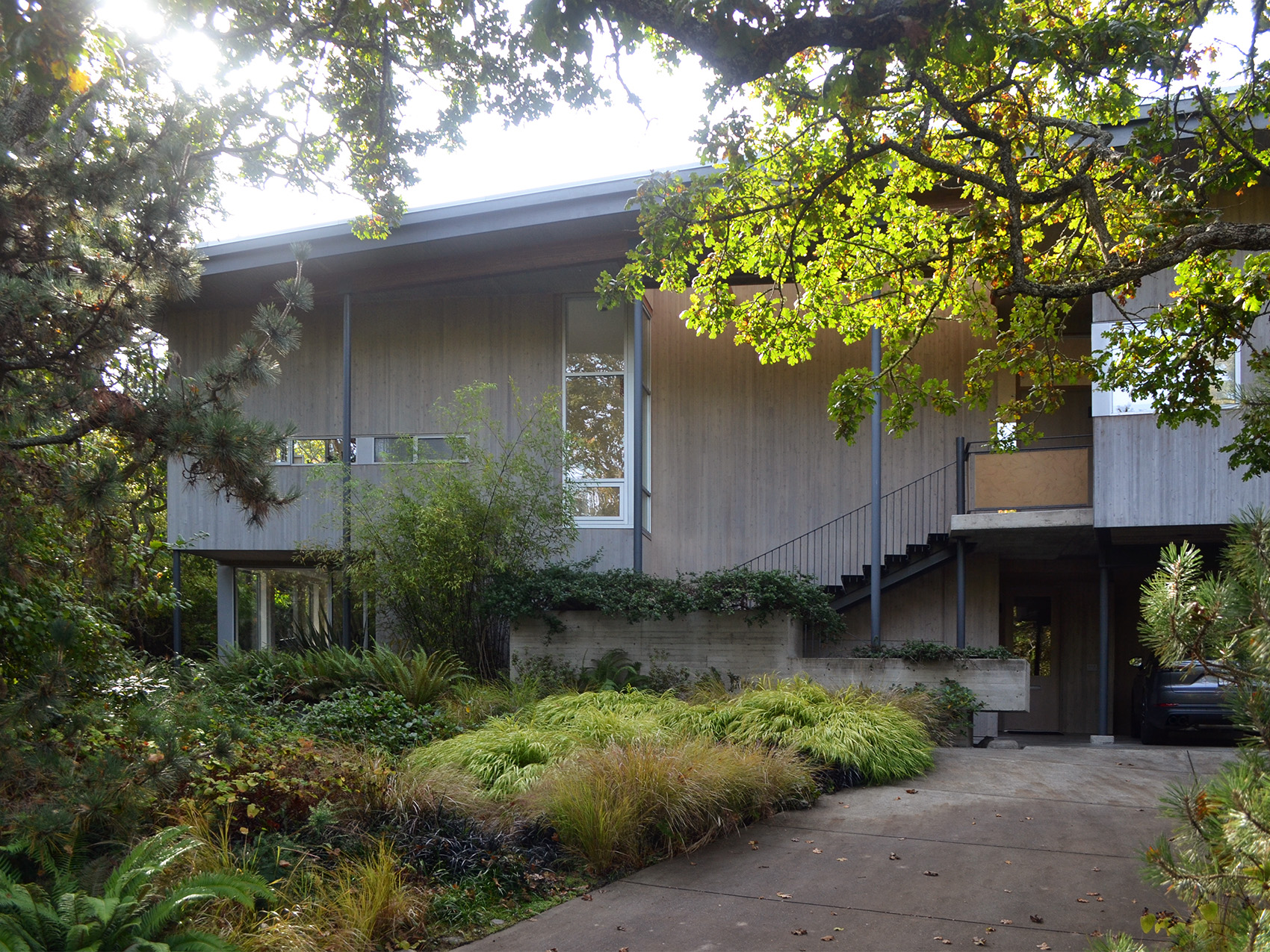 Steve Gairns (2021).