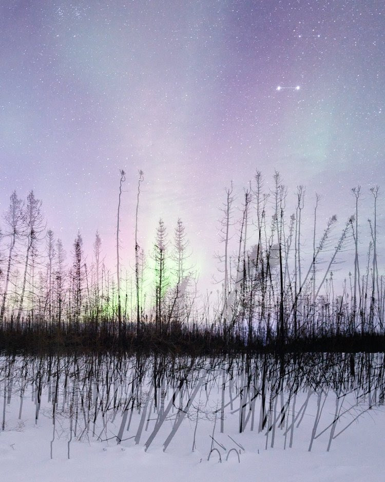 Crossover: Aquarelle Exhibition – 2026.04.09 to 05.09